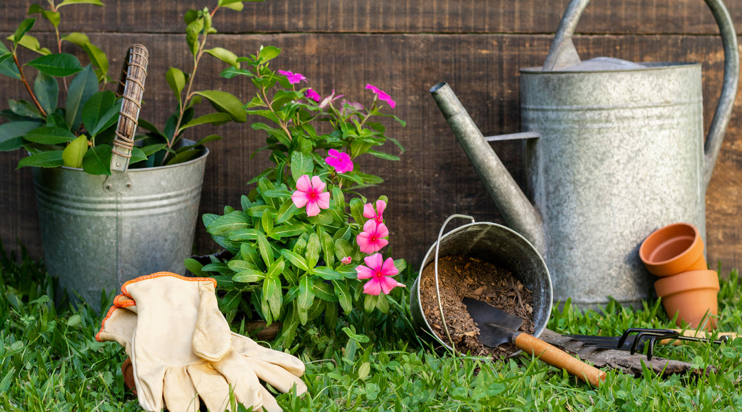 Gardening Terms Everyone Should Know