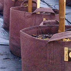 Pots, Bags, & Planters