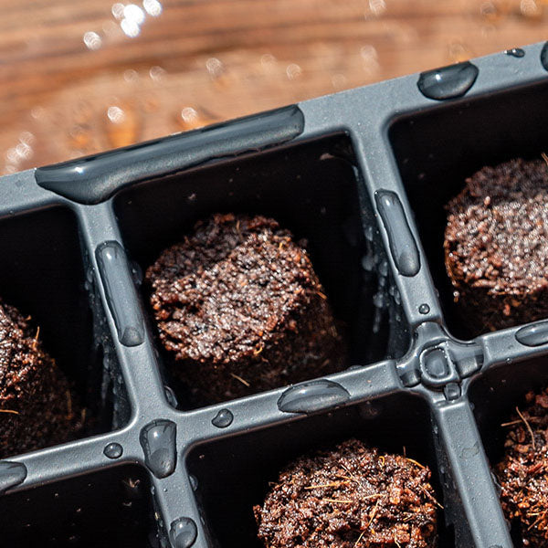 LATERN 4Pcs Plant Seedling Trays, 24 Cells Plastic Seedling Nursery