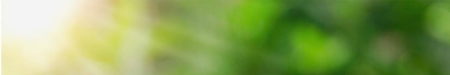 Gardening Tools & Gloves