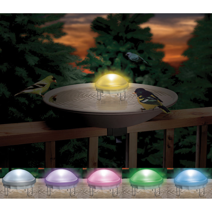 Aurora Multi-Colored Lighted Water Wiggler