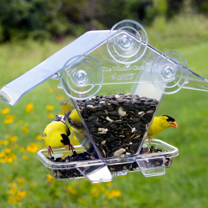 Aspects Window Cafe Bird Feeder Hopper Style