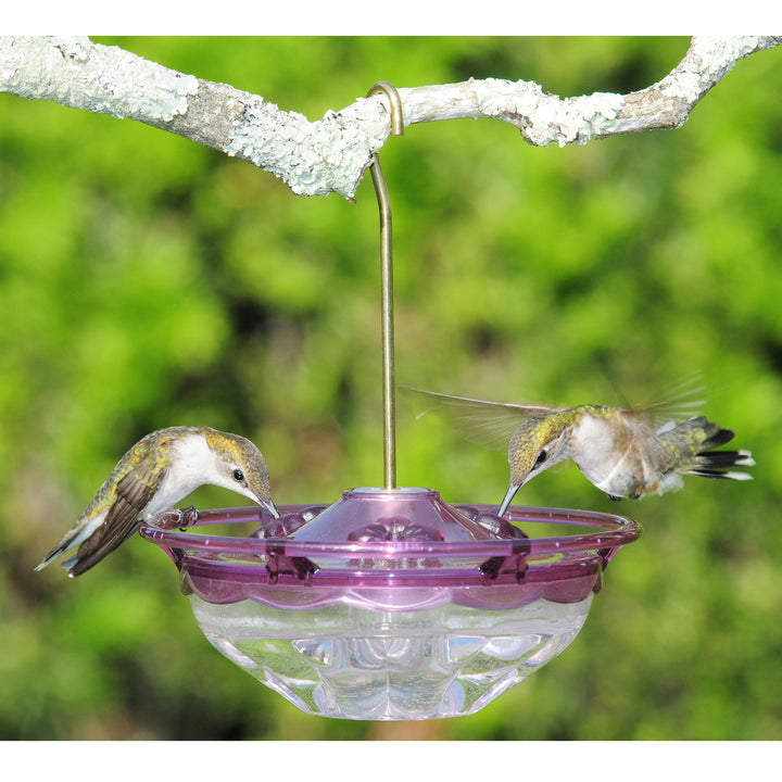 Aspects HummBlossom Hummingbird Feeder