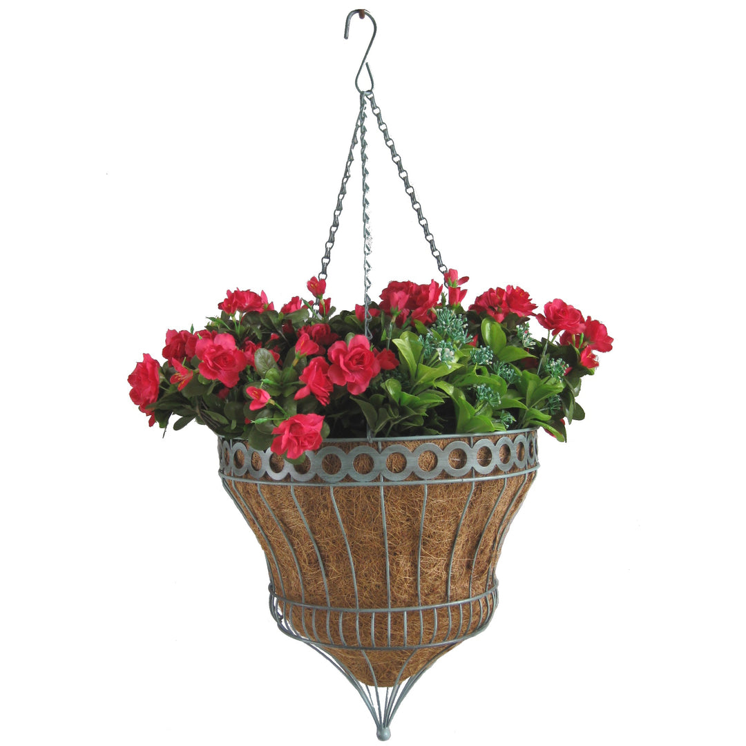 Gardener Select™ Isabella Parasol 14 in. Hanging Basket