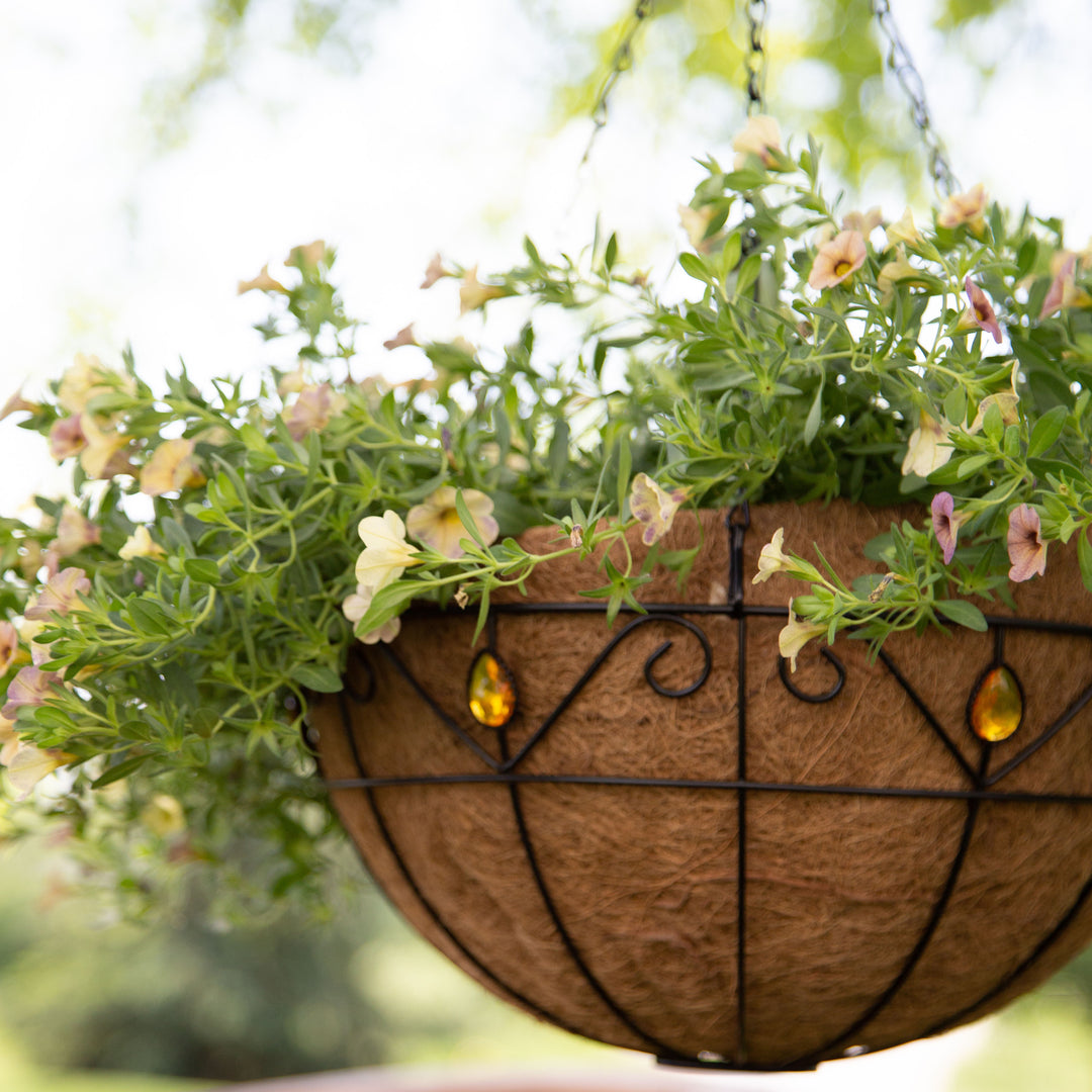 Gardener Select™ 14 in. Jewel Collection Hanging Basket