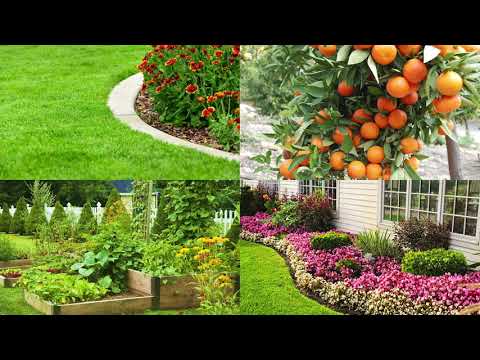 Rain Bird 8 Station Irrigation System Controller