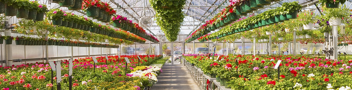 Retail & Display Greenhouses