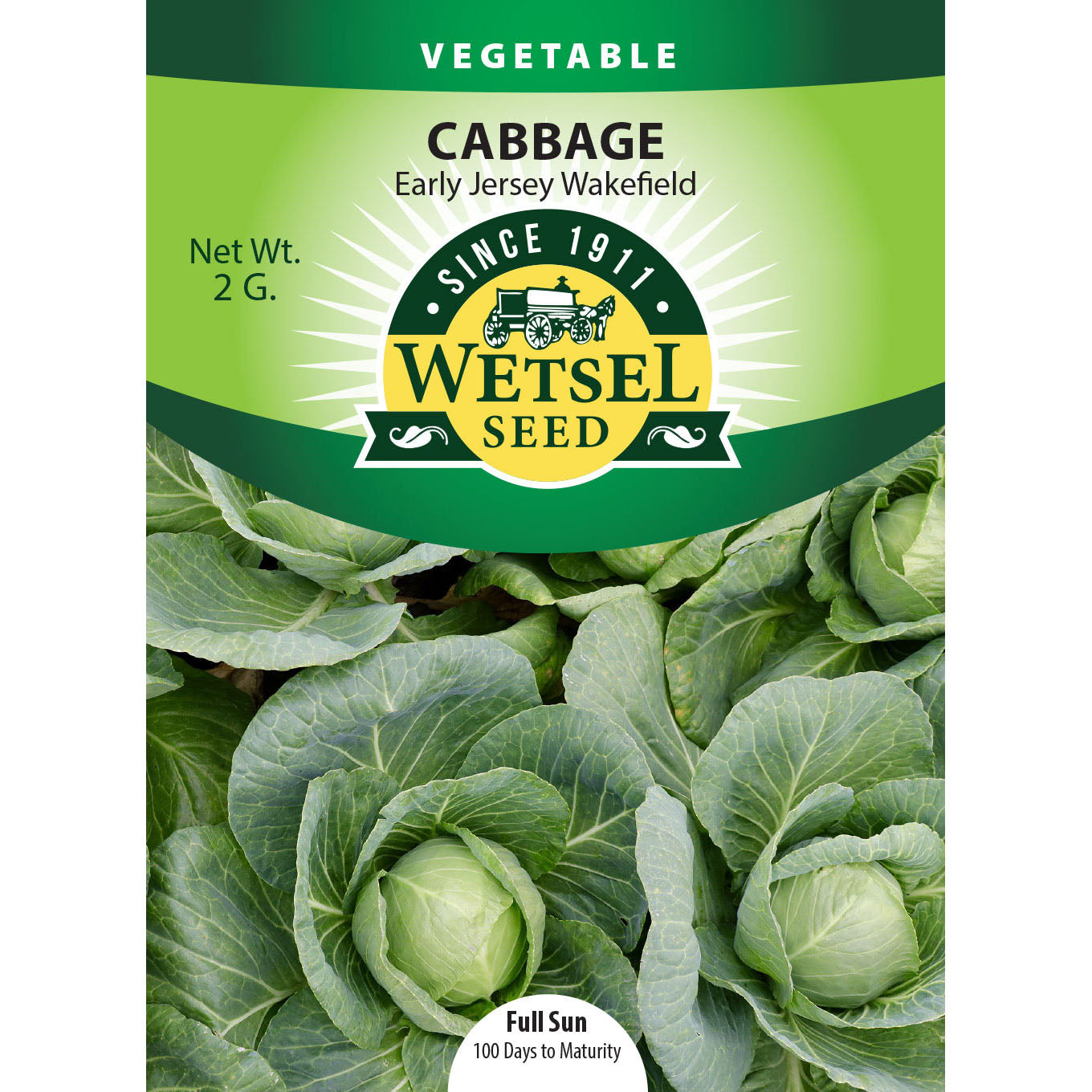 Wetsel Seed™ Early Jersey Wakefield Cabbage Seed – Greenhouse