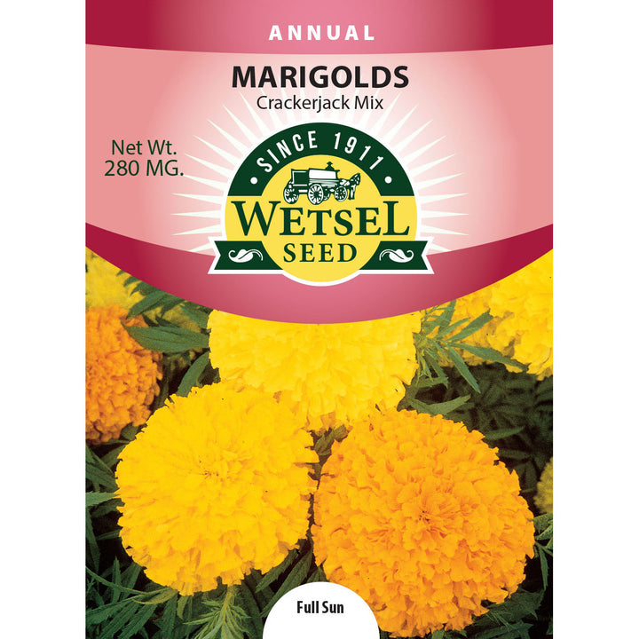 Wetsel Seed™ Marigold Tall Crackerjack Mix Seed