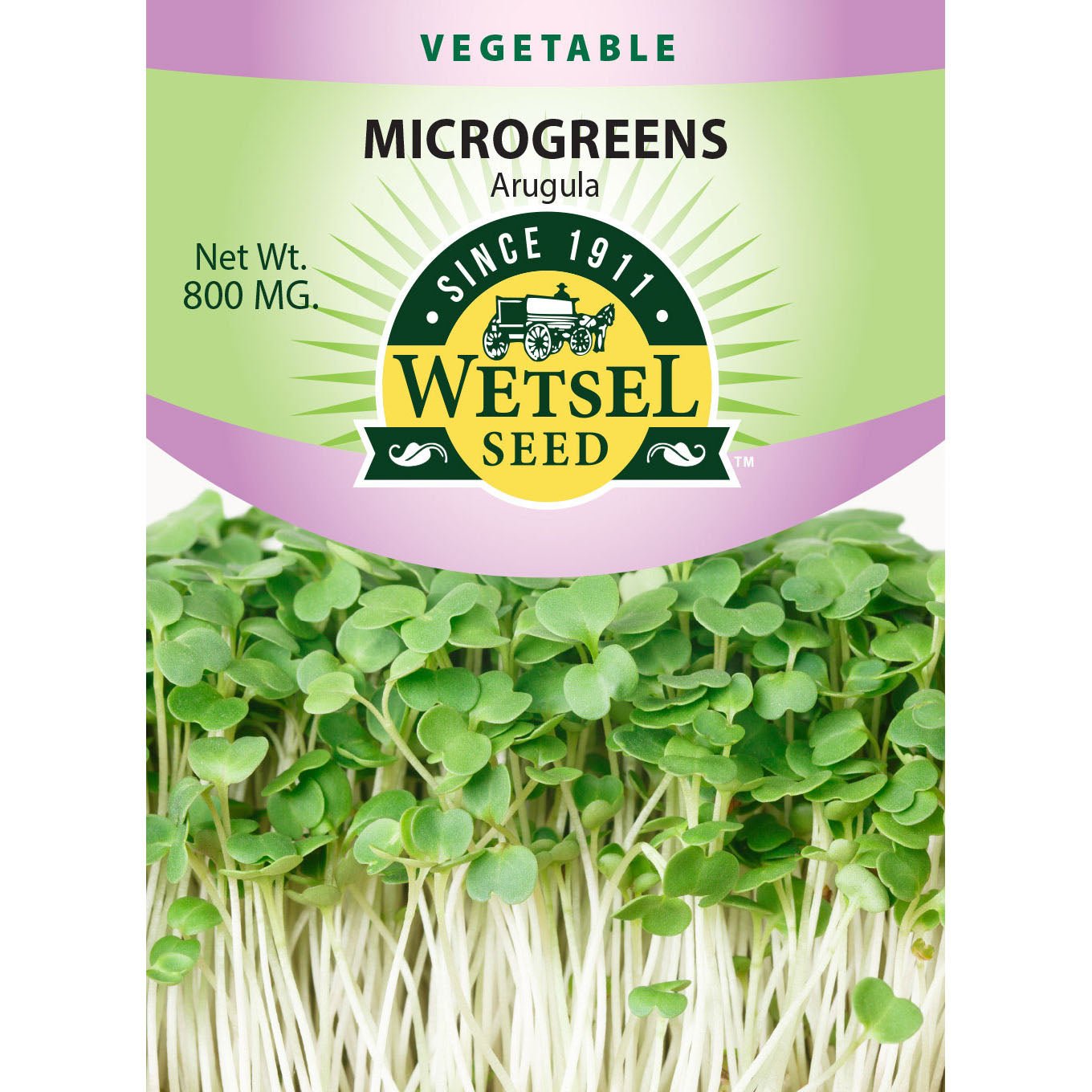 arugula plant seeds Wetsel Seed Microgreens Arugula Seed Packet