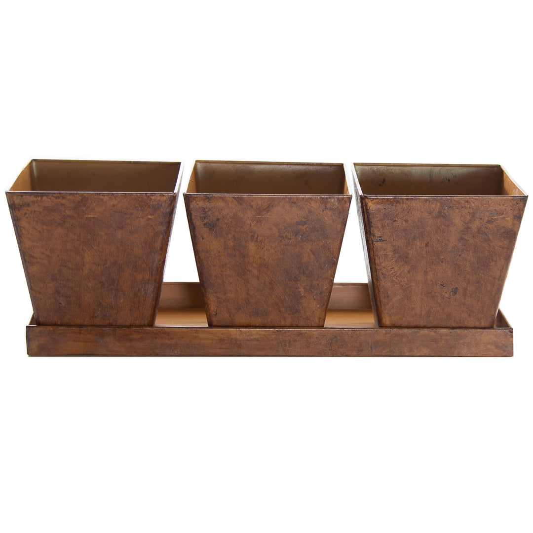 Gardener Select™ Farmhouse Collection 4 in. Pot and Tray Set