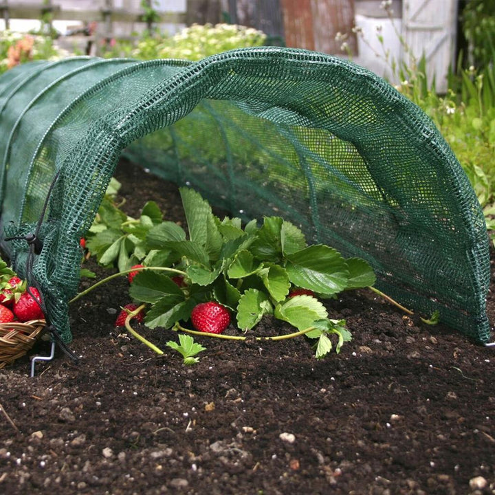 Giant Easy Net Tunnel