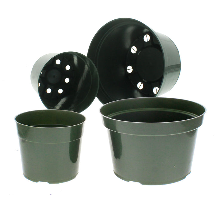 Round Green Mum Pots
