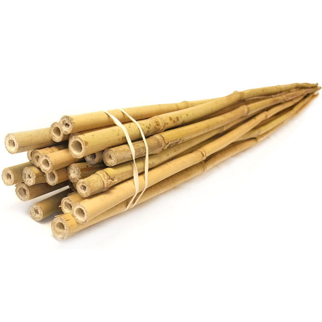 Pack Of 50 Bamboo Tutors 150 Cm (12-14 Mm) - Rods For Plants