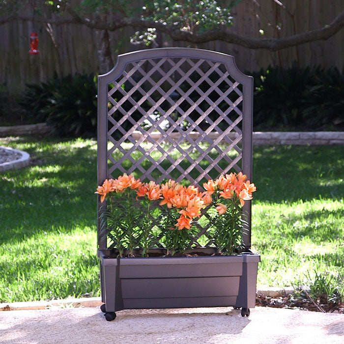 Calypso 31 x 13.5 x 53 in. Planter with Trellis & Reservoir