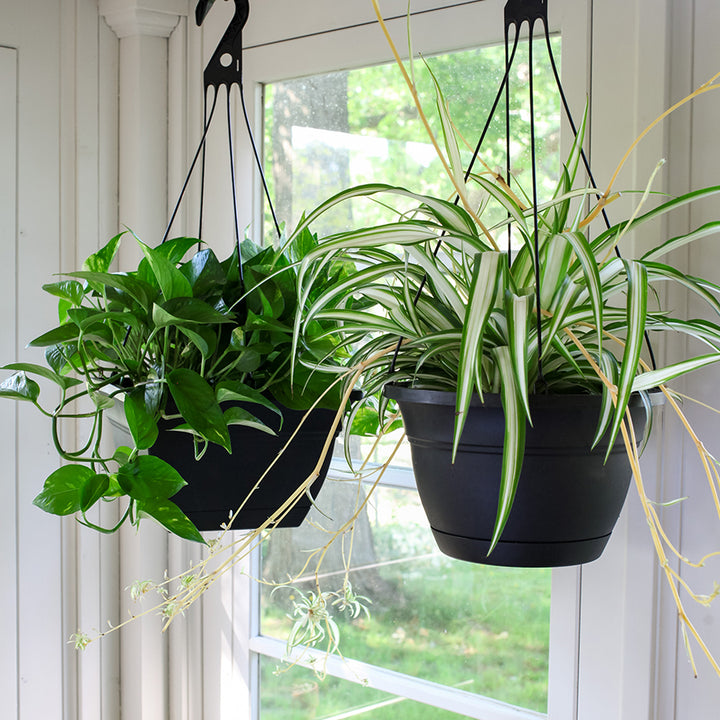 Eclipse 12 in. Hanging Planter