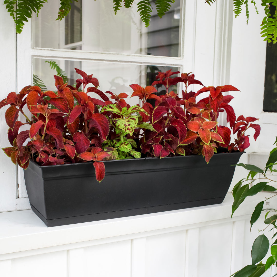 Eclipse Window Box Planter