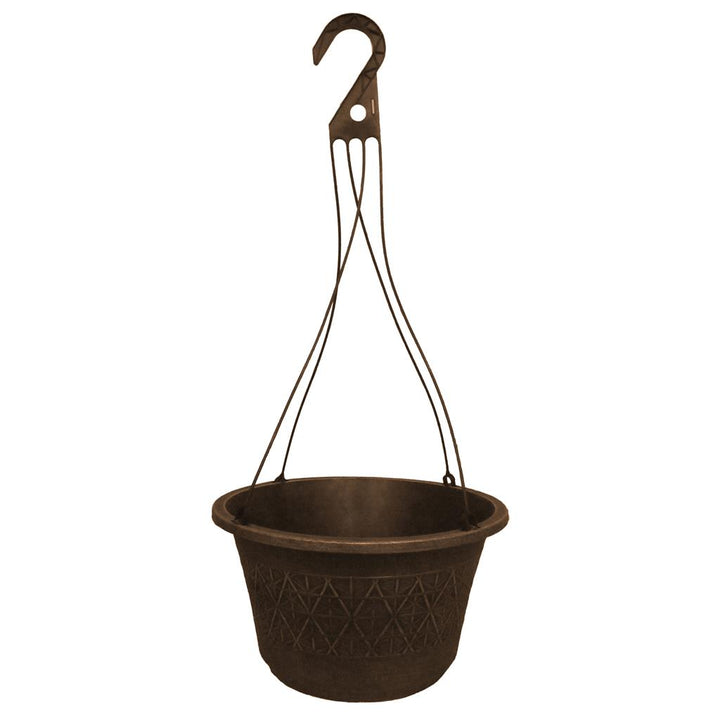 Grower Select Laci 12 in. Hanging Basket