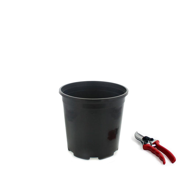 Injection Molded Nursery Containers