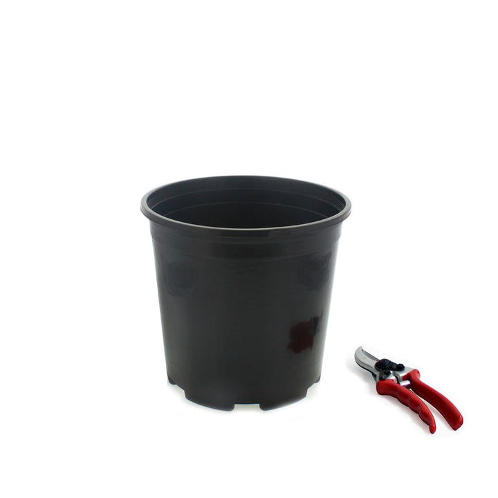 Injection Molded Nursery Containers