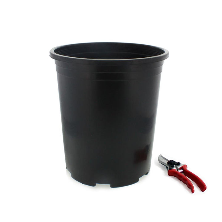 Injection Molded Nursery Containers