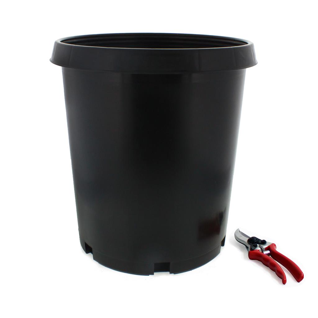 Injection Molded Nursery Containers