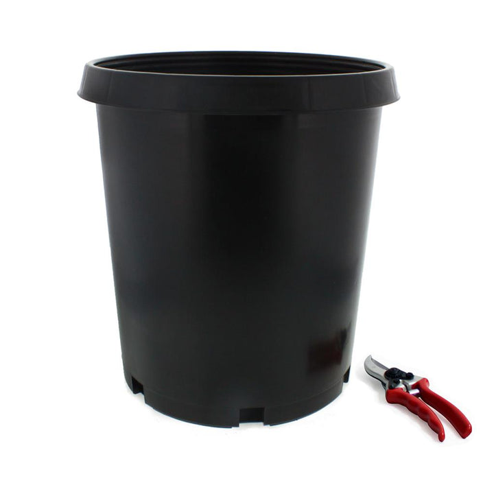 Injection Molded Nursery Containers