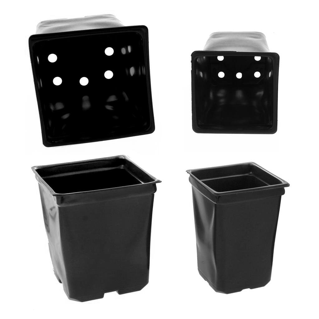 Coex Square Pot – Greenhouse Megastore