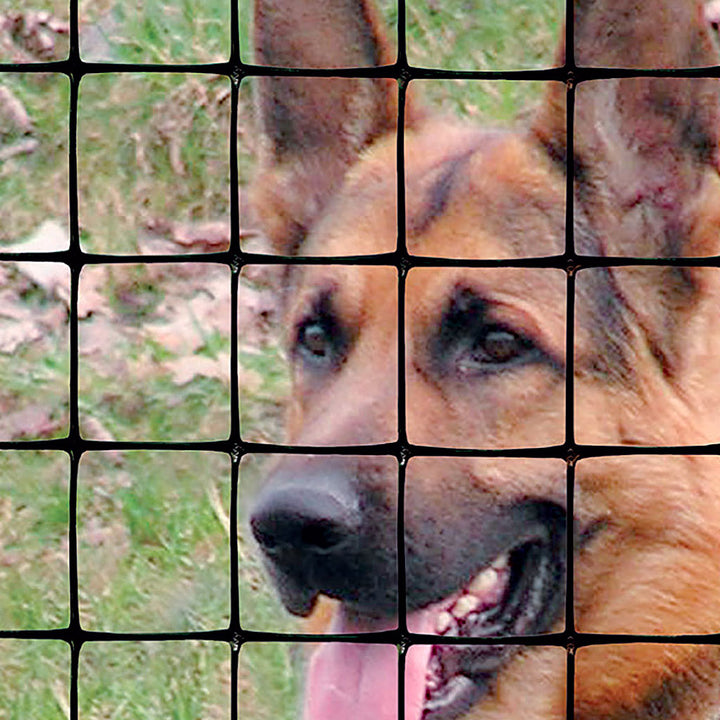 C-Flex Yard and Pet Fence