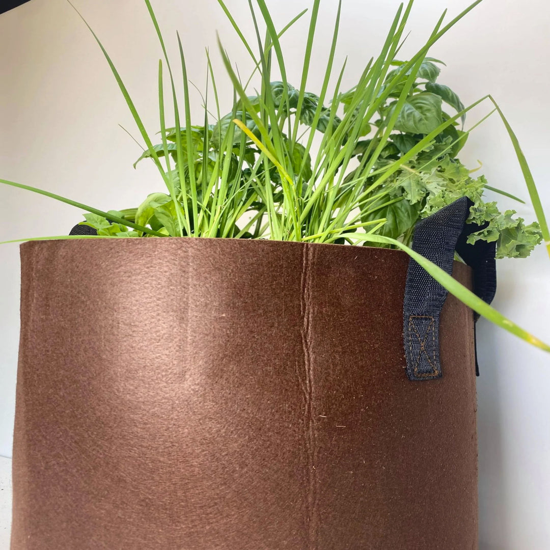 GrowBag Garden Lab - Pesto - REPLENISH Kit