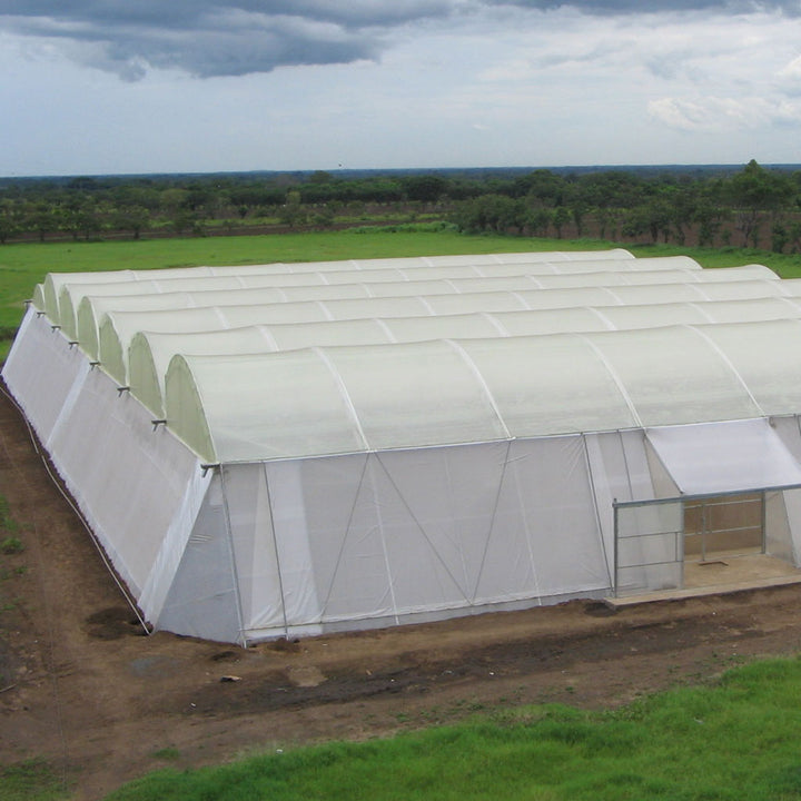 Anti-Insect Netting 50 Mesh