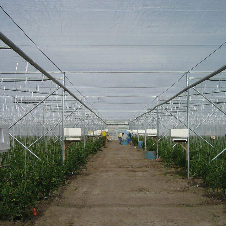 Anti-Insect Netting 50 Mesh