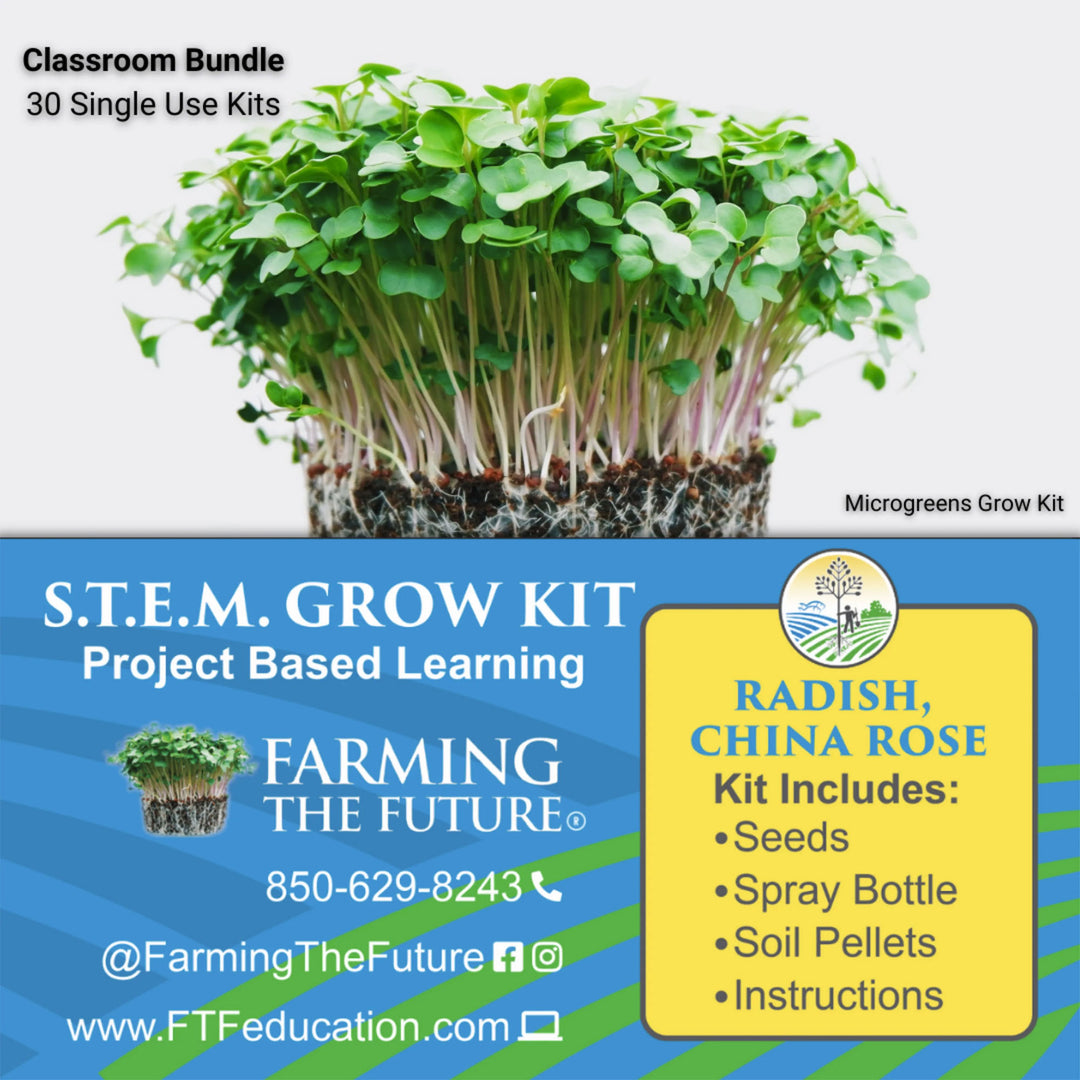 Grades K-12 STEM Student Microgreen Kit - Classroom Bundle