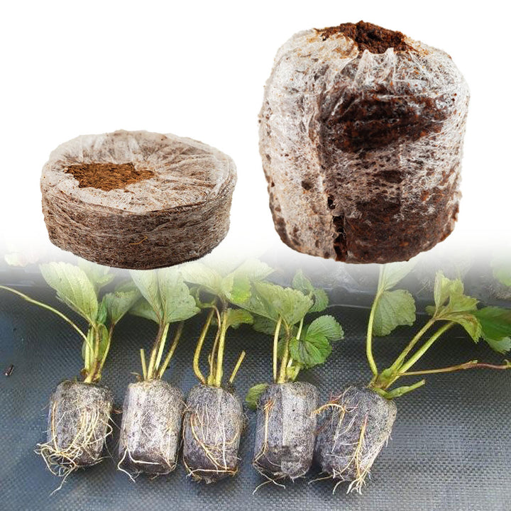 Jiffy® 7C Coco Pellets - Case of 756