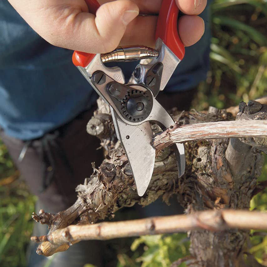 Felco F8 Ergonomically Designed Pruner