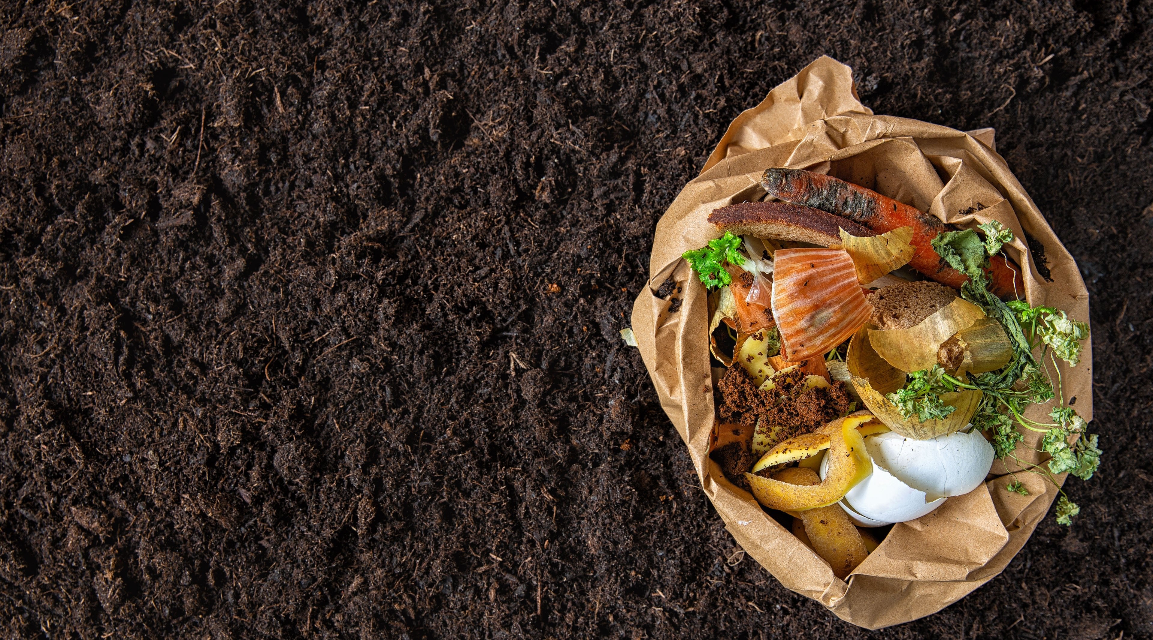 Composting: How does it work and how do you get started? - Greenhouse Megastore