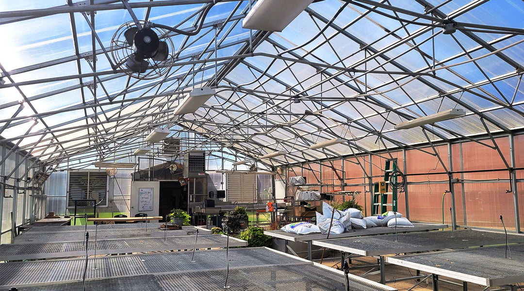 Cultivating Knowledge: The Benefits of a School Greenhouse Gardening Program - Greenhouse Megastore