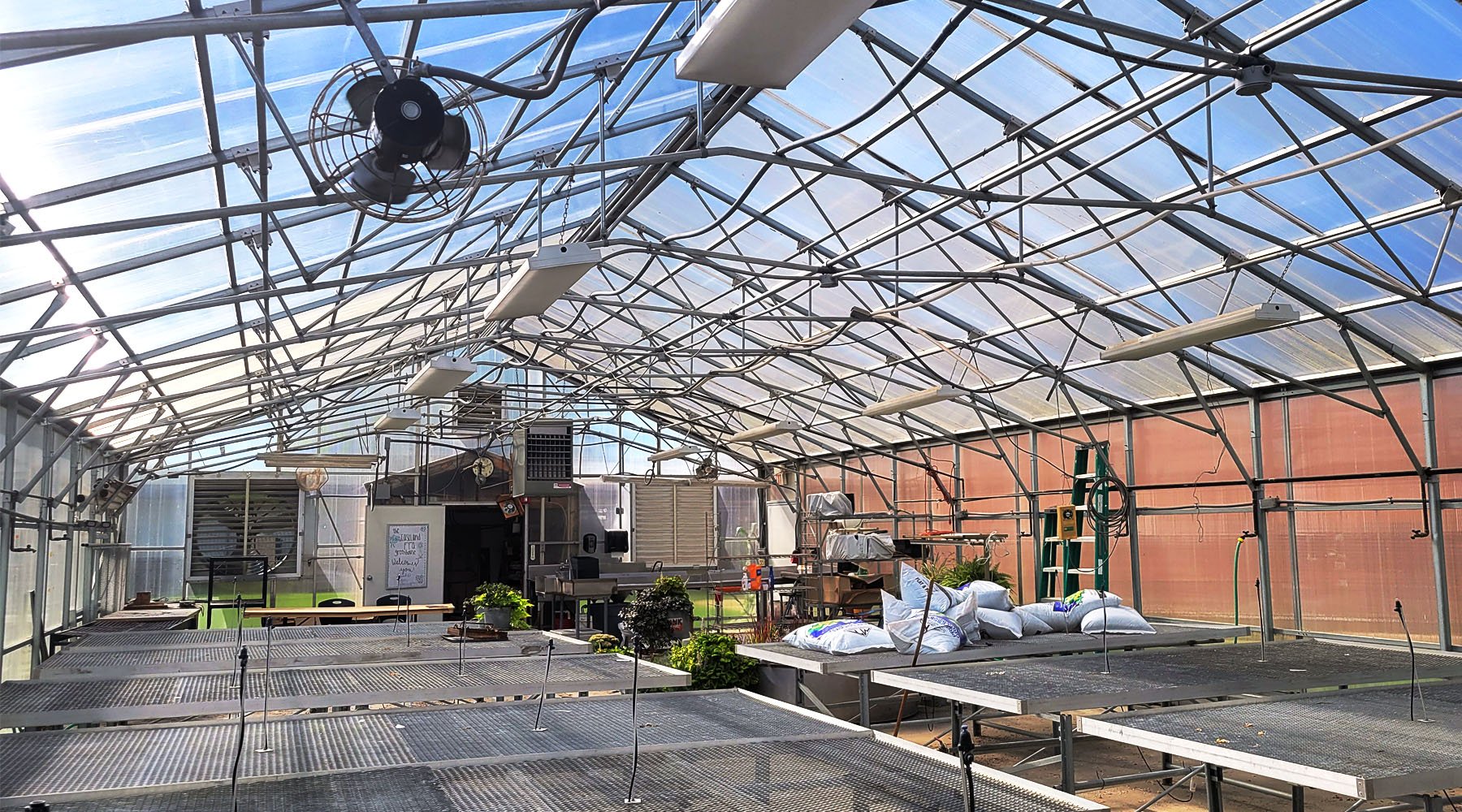 Cultivating Knowledge: The Benefits of a School Greenhouse Gardening Program - Greenhouse Megastore