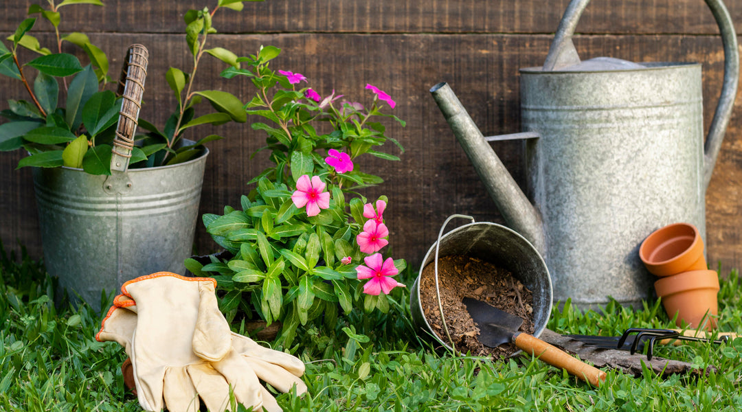 Gardening Terms Everyone Should Know - Greenhouse Megastore