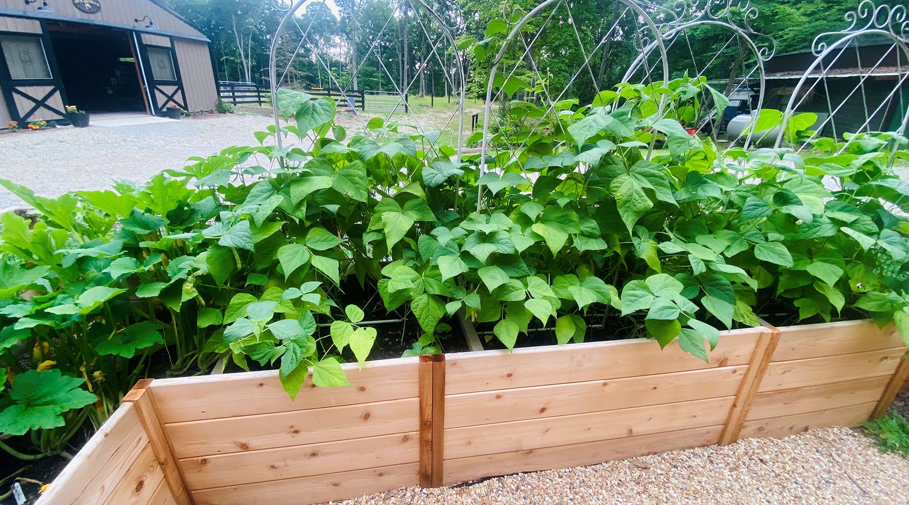 How to Choose and Setup Your Raised Bed - Greenhouse Megastore