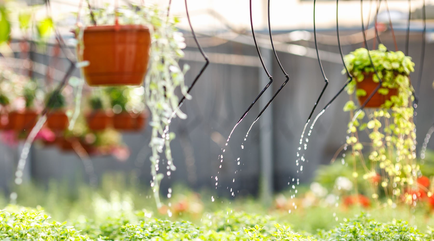 Mist, Sprinkler, and Drip Systems 101 - Greenhouse Megastore