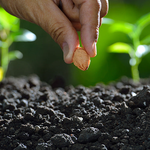 Wholesale Garden Supplies & Nursery Supplies for Greenhouses