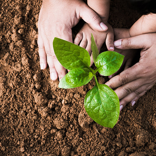 Buy More, Save More Event