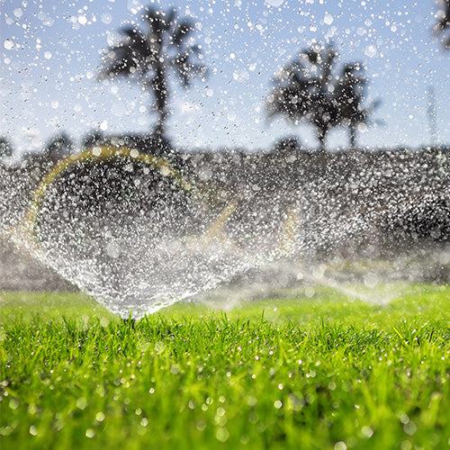 Irrigation Systems & Components