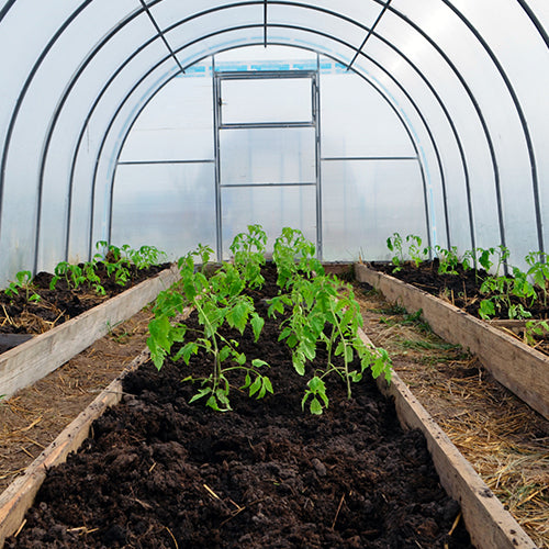 Low Tunnels & Cold Frames