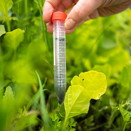 Monitoring & Measuring