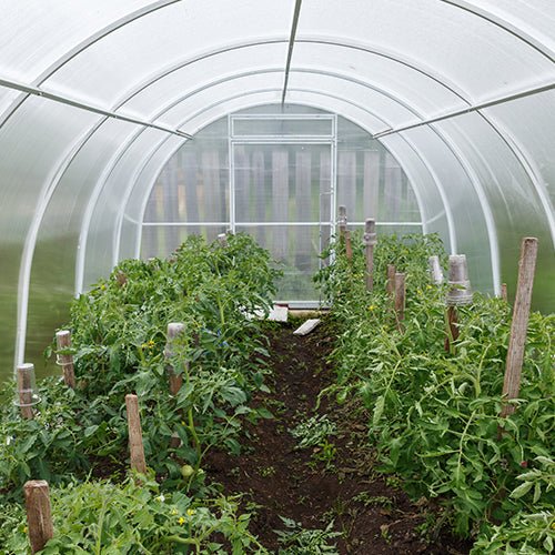 Accessories for Greenhouses & Structures - Greenhouse Megastore