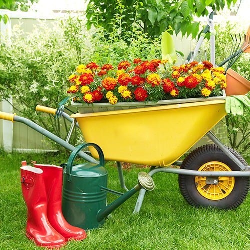 Carts & Wagons - Greenhouse Megastore