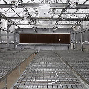 Custom Greenhouse Benches & Grow Tables - Greenhouse Megastore