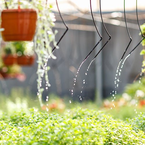 Drip Irrigation - Greenhouse Megastore